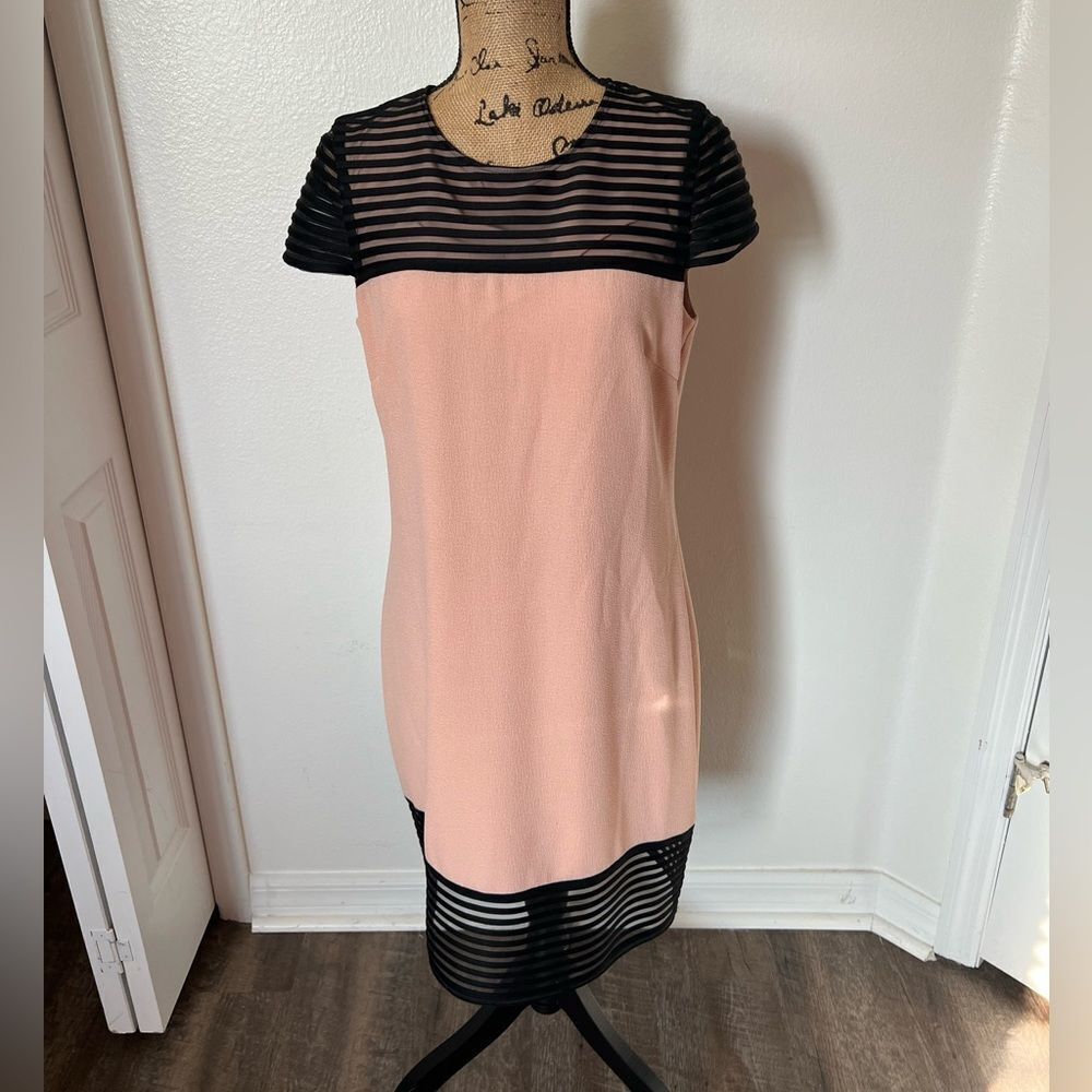 Belle Badgley Mischka Pink and Black Dress-Size 10